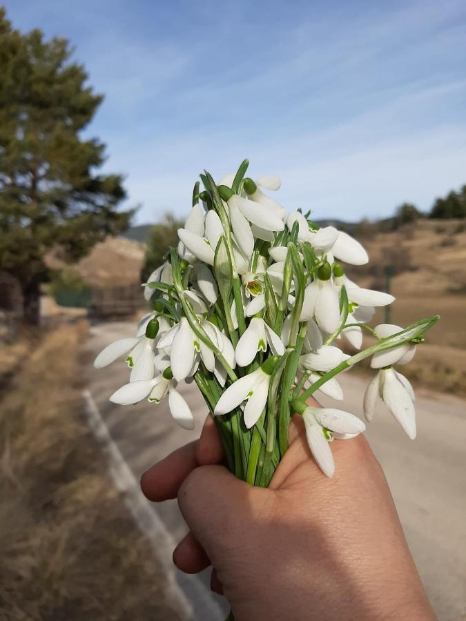 Apartamento La Montesa La Virgen de la Vega Esterno foto