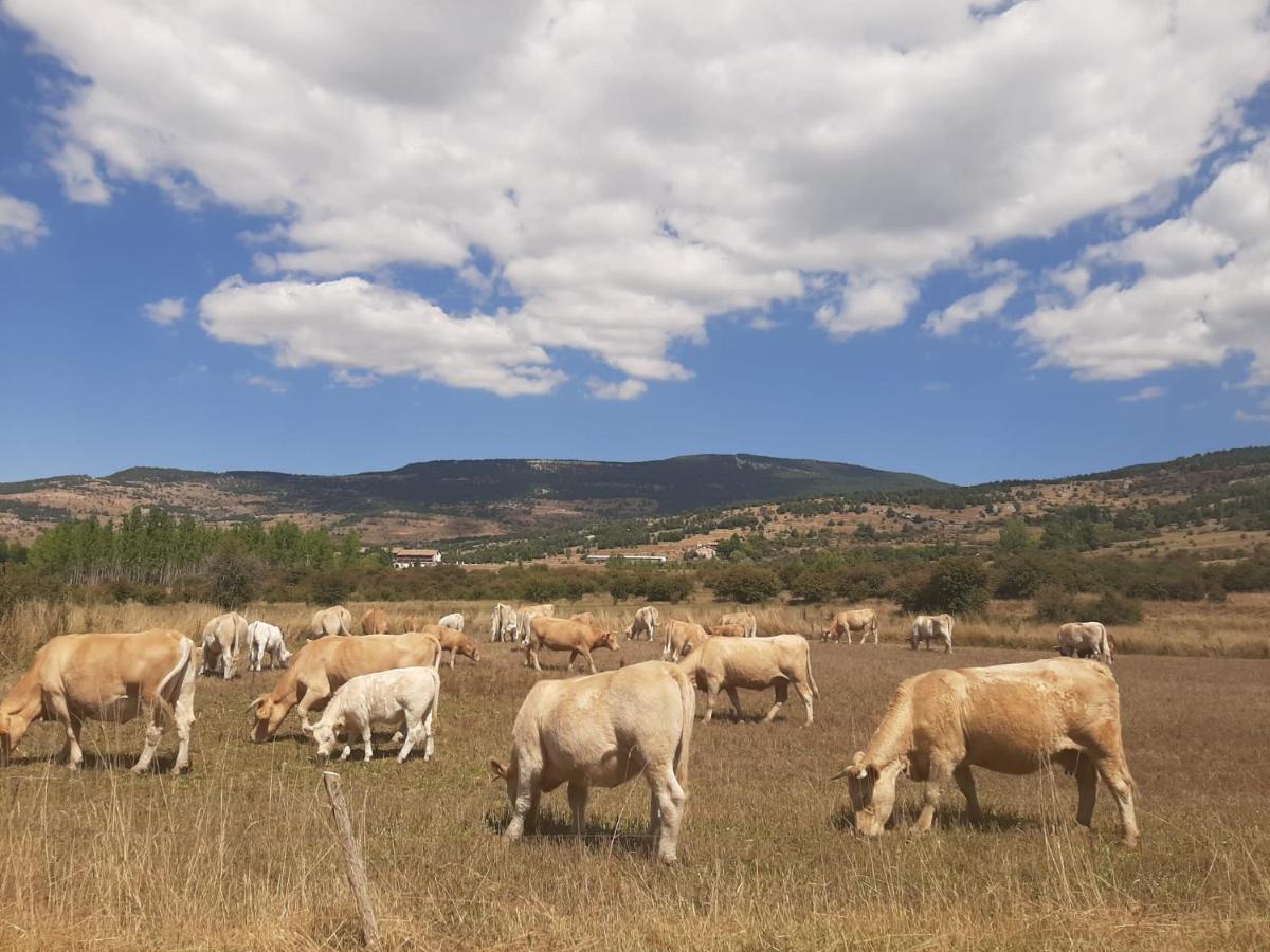 Apartamento La Montesa La Virgen de la Vega Esterno foto